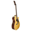 Martin GPC-10E Vintage Inspired Road Series Special Electro Acoustic Guitar 