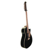 Fender California Series Villager 12 String Electro Acoustic, Black with Gig Bag (pre-owned)