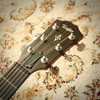 Taylor 414CE Electro Acoustic Guitar with Gig Bag (pre-owned)