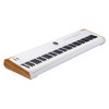 Arturia AstroLab 88 Avant-garde Stage Keyboard Bundle 
