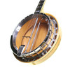 Ibanez Artist 5 String Banjo 1976, Made In Japan with Hard Case (pre-owned)