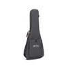 Martin Navojoa DSS14E Electro Acoustic Guitar Sunburst 