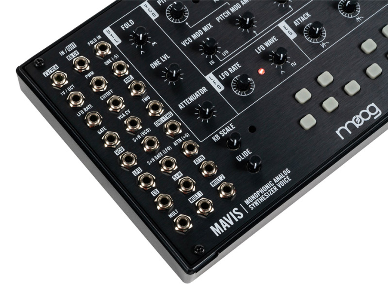 Moog Mavis Monophonic Semi-Modular Synthesizer - Absolute Music