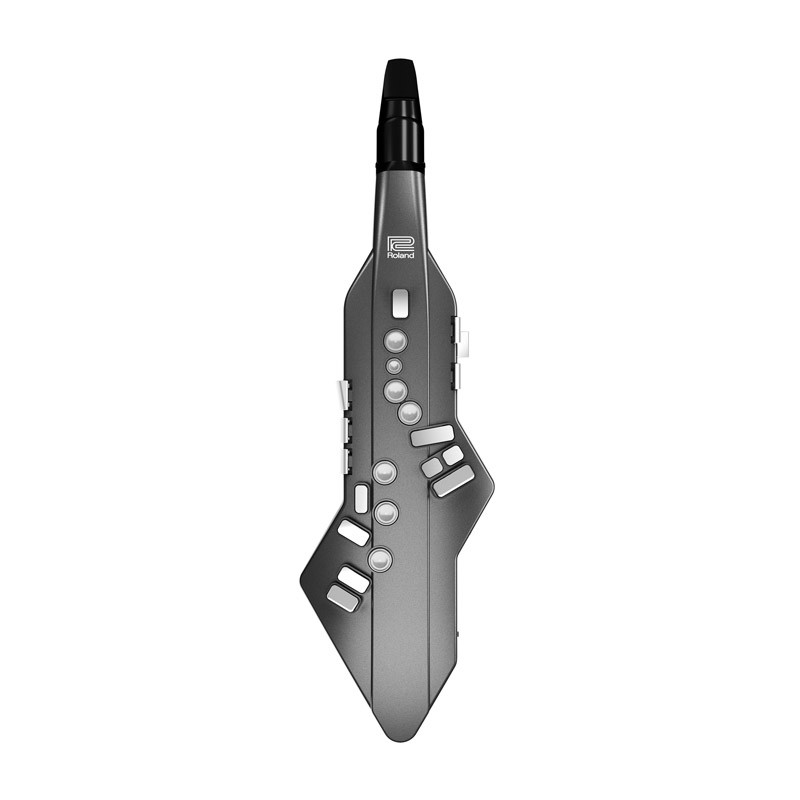 Roland AE-05 Aerophone Go Digital Wind Instrument - Absolute Music