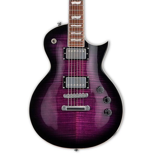 ESP LTD EC-256 Electric Guitars, See Thru Purple Burst 