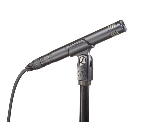 Audio Technica AT2031 Condenser Microphone 