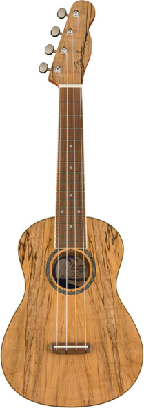 Fender Zuma Exotic Concert Ukulele, Bocote, Walnut Fingerboard