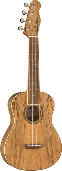 Fender Zuma Exotic Concert Ukulele, Bocote, Walnut Fingerboard