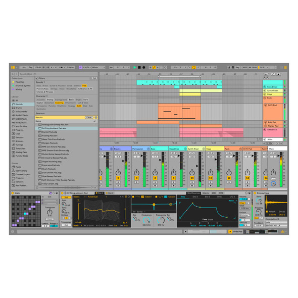 Ableton Live 12 Standard Audio/MIDI Recording Software (Download) 