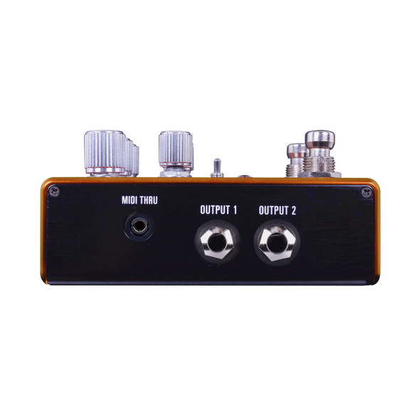 Source Audio Pathways Stereo Reverb & Tremolo Pedal 