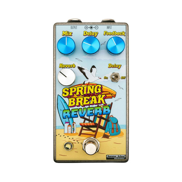 Summer School Electronics Spring Break Reverb Effects Pedal 