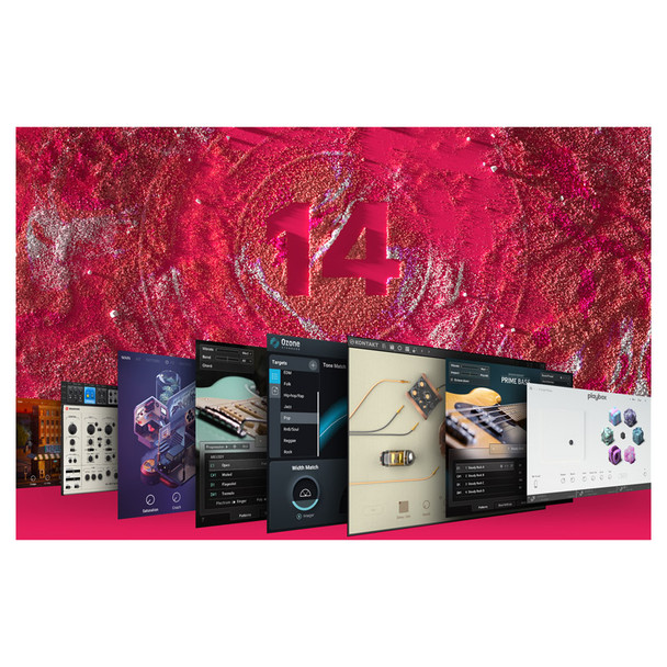 Native Instruments Komplete 14 Standard Upgrade from Collections (Download) 