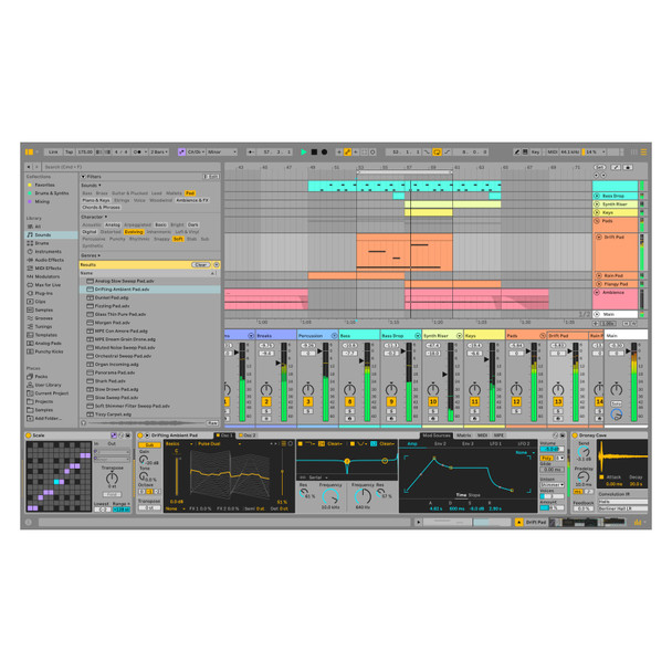 Ableton Live 12 Intro Audio/MIDI Recording Software (Download) 