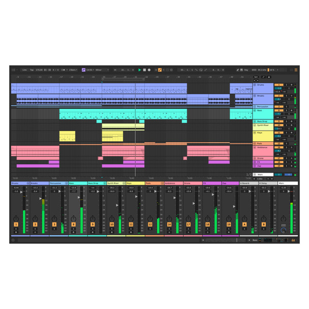 Ableton Live 12 Standard Audio/MIDI Recording Software (Download) 