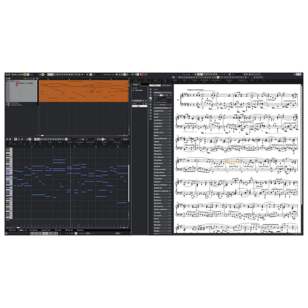 Steinberg Cubase Elements 15  Educational Version (Download) 