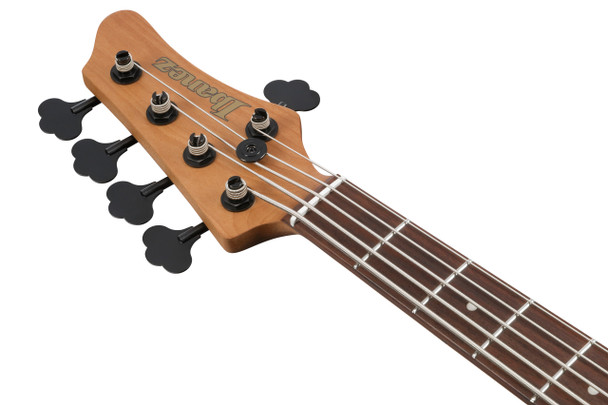 Ibanez MDM1605-DTW 5 String Bass Guitar, Deep Twilight 