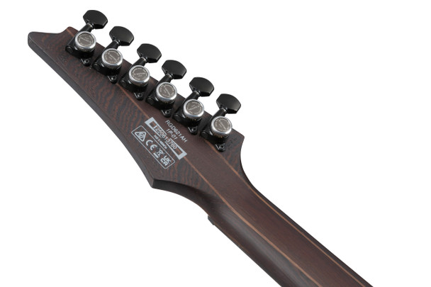 Ibanez RGD621AH-MNF RDG Standard Electric Guitar, Midnight Shade Flat 