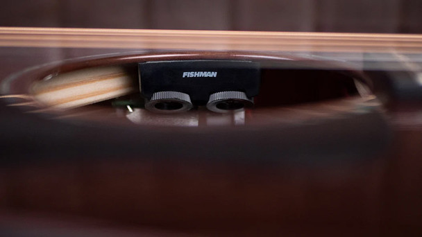 Faith Nexus Neptune Cutaway Electro Acoustic Guitar, Thru-Black 