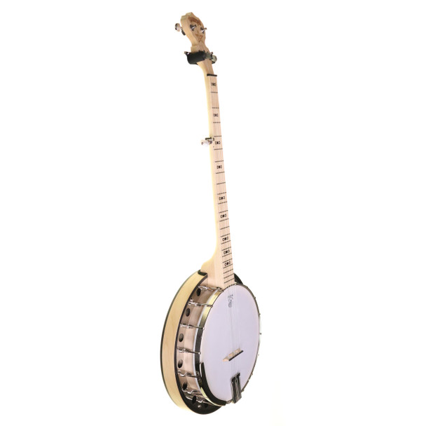 Deering Goodtime 5 String Resonator Banjo with Hard Case (pre-owned)