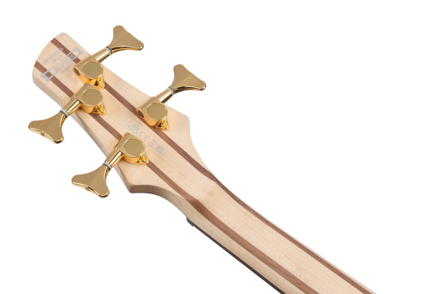 Ibanez SR300EDX-FDM SR SERIES Bass Guitar, Frozen Gold Matte 