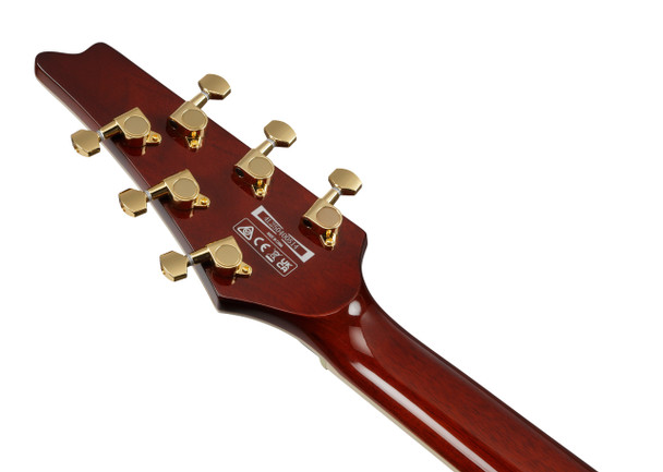 Ibanez IC420-CGM Iceman Electric Guitar, Coral Green Metallic 