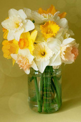 How to update your home for Spring