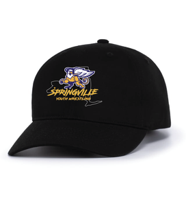 Baseball cap with embroidered logo