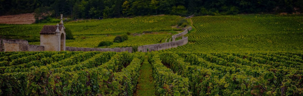 Buy Wine Online at WHWC | Premium Wines & Spirits | Ship / Pickup