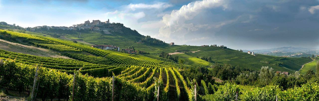 Buy Wine Online at WHWC | Premium Wines & Spirits | Ship / Pickup