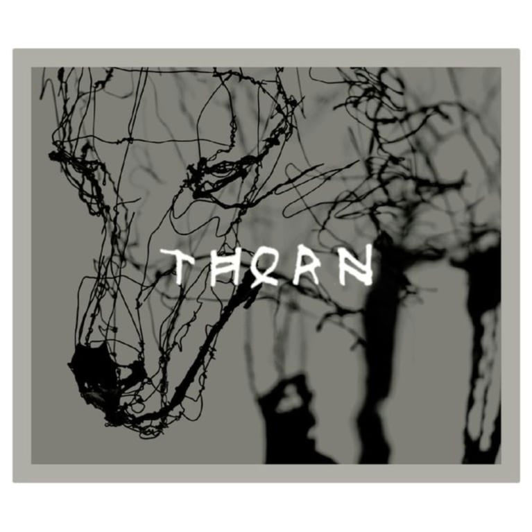 The Prisoner Wine Co. Merlot Napa Valley Thorn 2018 - Woodland 