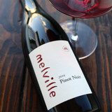Pinot Noir 101: Styles, Tasting Notes & Perfect Pairings in 2025