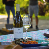 Sauvignon Blanc Around the World: Why NZ’s Zesty Whites Lead the Pack?