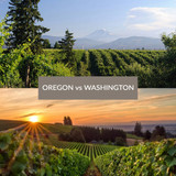 Oregon Pinot Noir vs. Washington Cabernet: A Tale of Two States