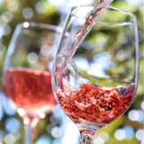 Wine Glasses Demystified: Does Shape Really Affect Taste?