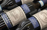 Nebbiolo Wines: Italy’s Iconic Red Wine Explained