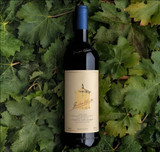 What Is Terroir? How Soil, Climate, and Tradition Shape Every Sip