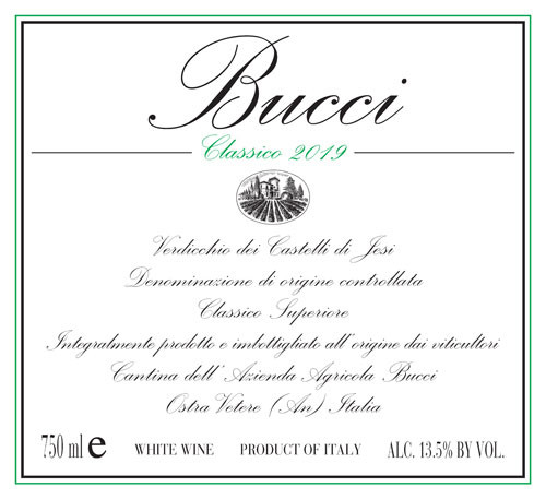 Bucci Verdicchio dei Castelli di Jesi Classico 2019