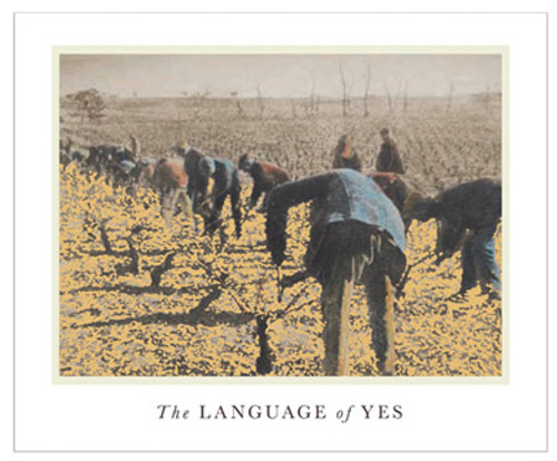 The Language of Yes Grenache Santa Maria Valley En Passerillage 2020