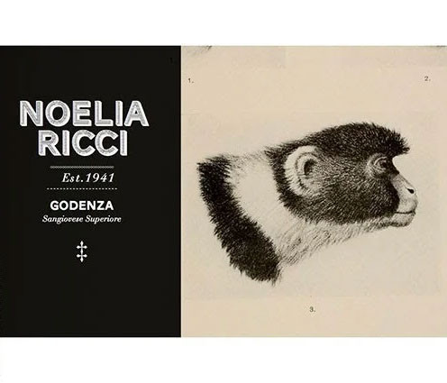 Ricci/Noelia Sangiovese Predappio Romagna Godenza 2020