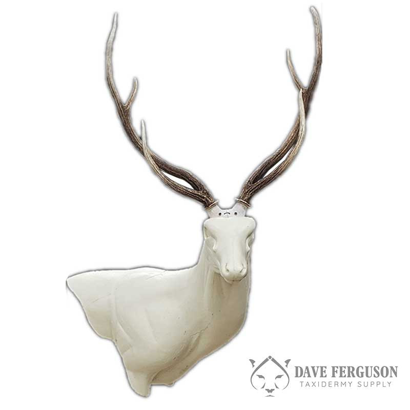 Axis Deer RT Wall Pedestal Ferguson Taxidermy Supply