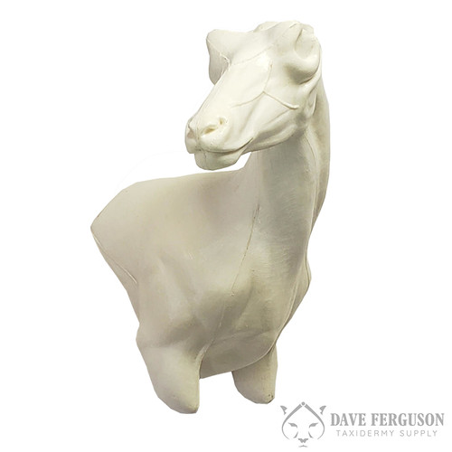 Antelope / Pronghorn Wall Pedestal Ferguson Taxidermy Supply