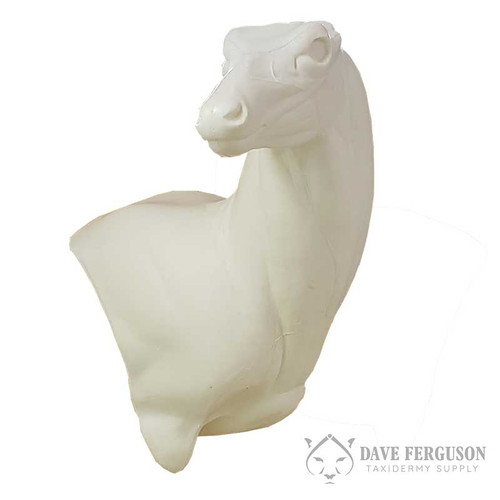 Mule Deer Upright Wall Pedestal Ferguson Taxidermy Supply