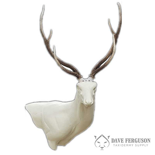 Axis Deer - RT Wall Pedestal