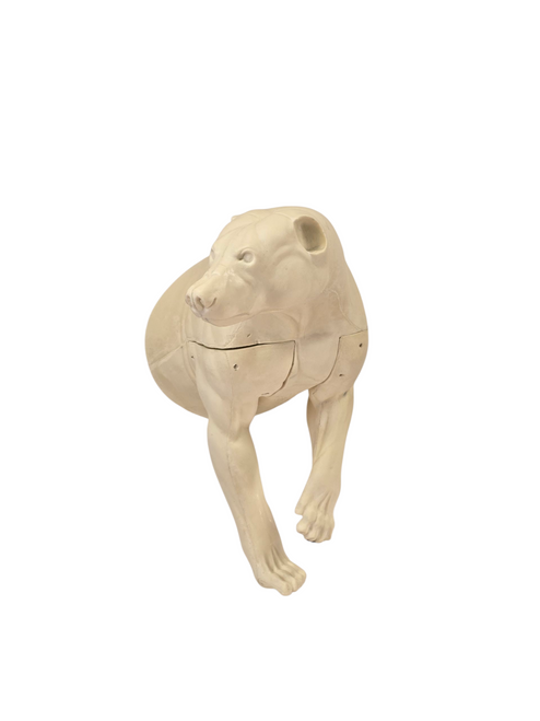 Black Bear half lifesize wall mount medium Black Bear half lifesize wall mount medium