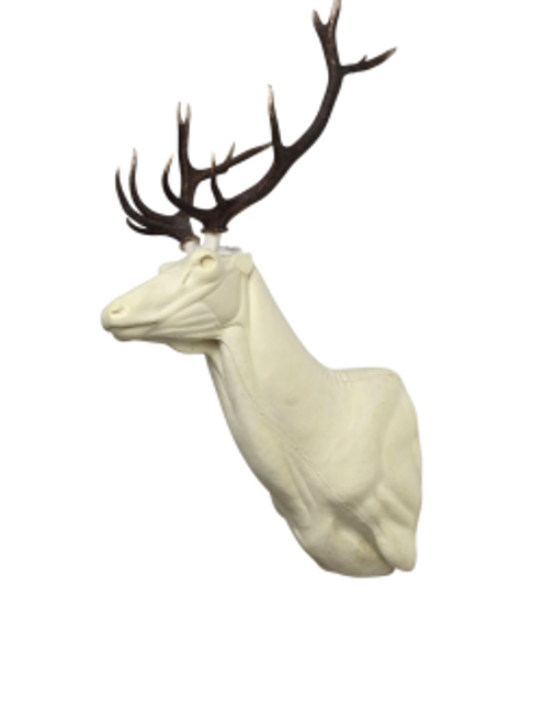 Red Stag Upright wall mount