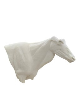 Gemsbok straight pedestal