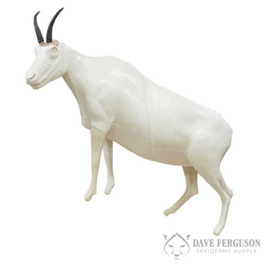 Mountain Goat by Greg Brumfield - Ferguson Taxidermy Supply