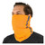 Work Ethic Neck Gaiter