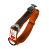 RapidStop Bleed Control Kit - Standard