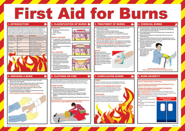 Risk Assessment Products First Aid for Burns Poster 